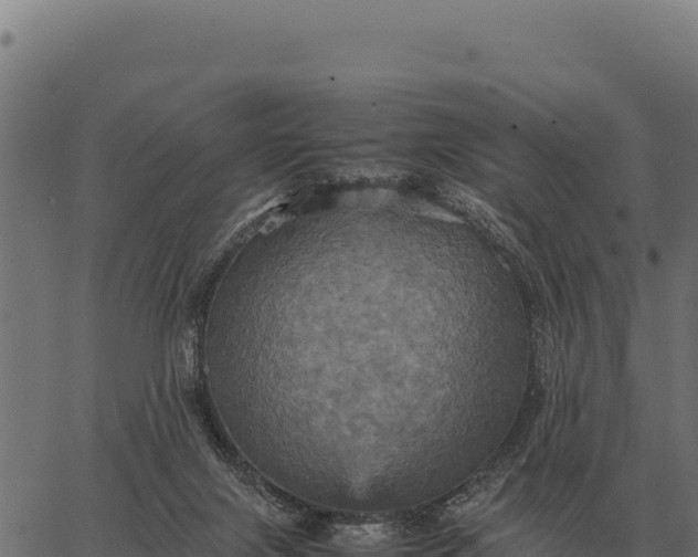 X0000066520071200603311805