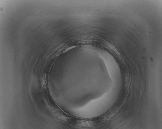 X0000066520073200603311805