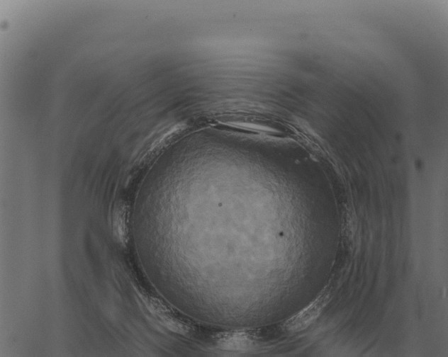 X0000066520074200603311805