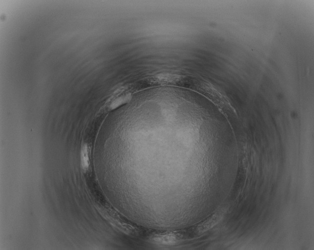 X0000066520075200603311805