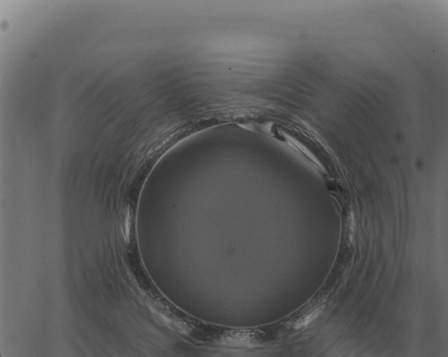 X0000066520076200603311805