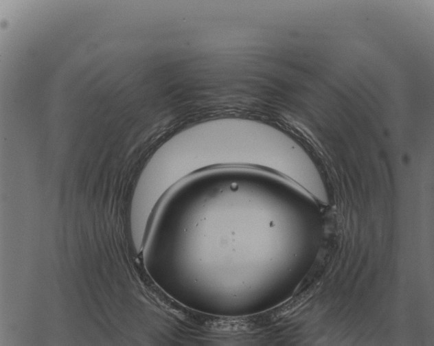 X0000066520077200603311805