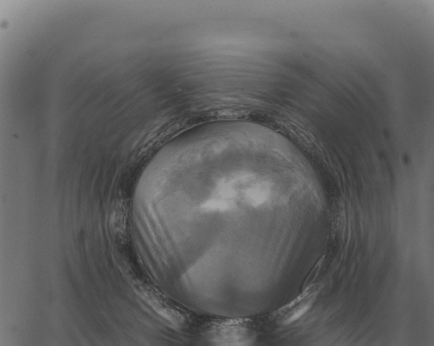 X0000066520078200603311805