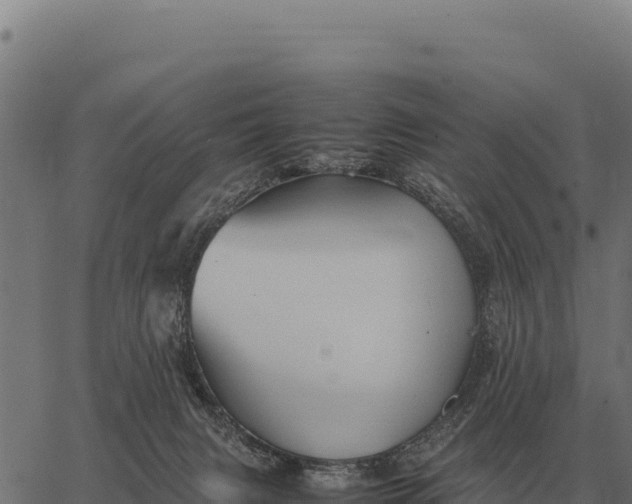 X0000066520079200603311805