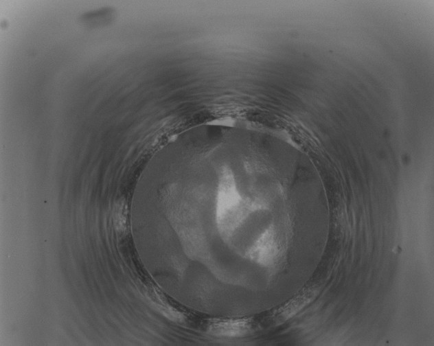 X0000066520081200603311805