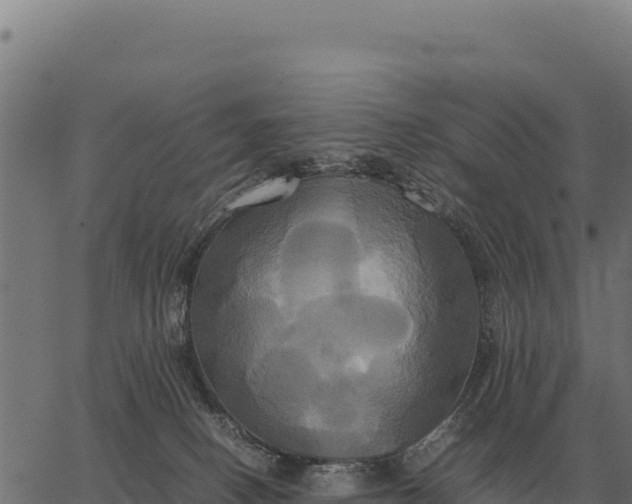 X0000066520082200603311805