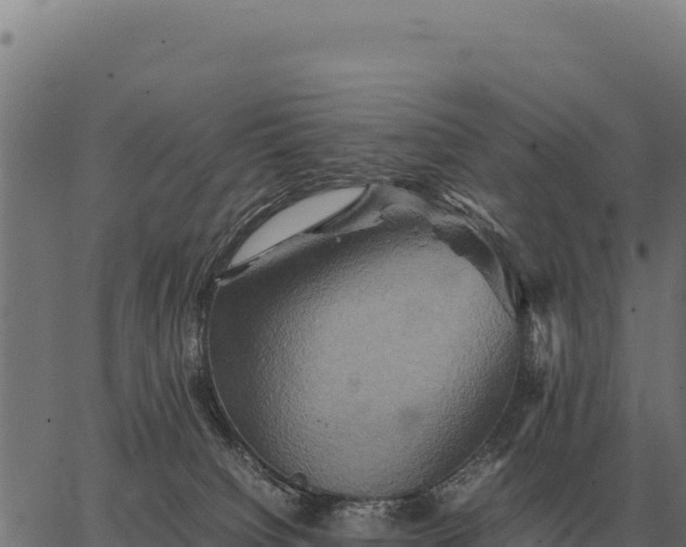 X0000066520084200603311805