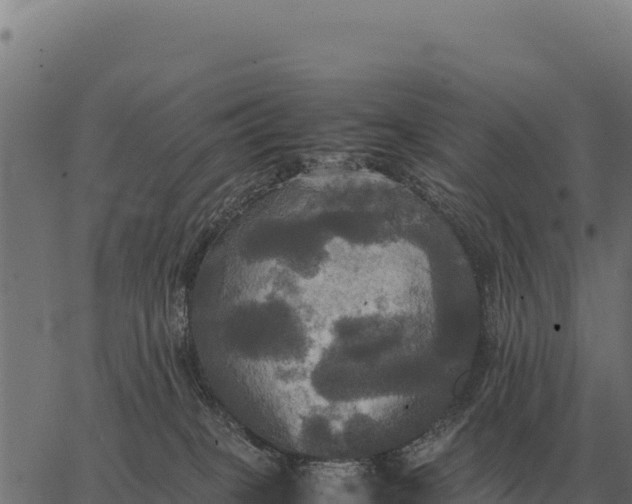 X0000066520085200603311805