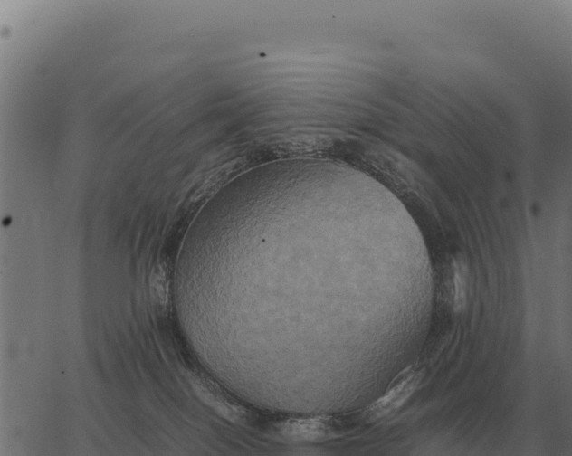 X0000066520086200603311805