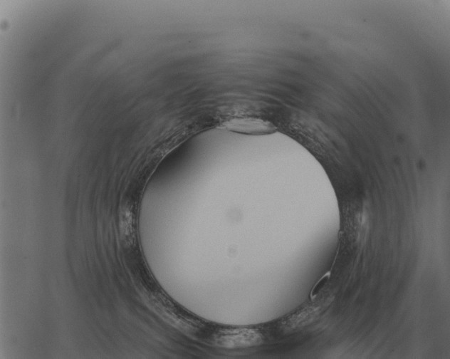 X0000066520087200603311805