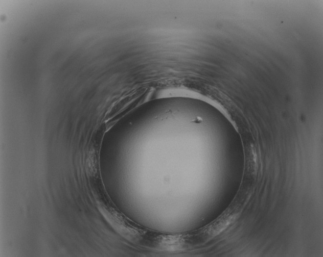 X0000066520088200603311805