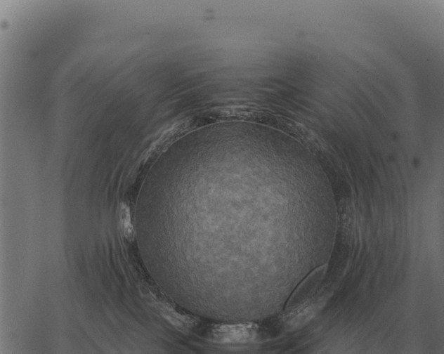 X0000066520089200603311805