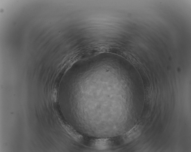 X0000066520090200603311805