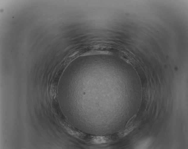 X0000066520091200603311805