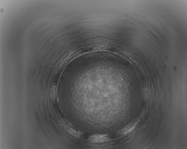 X0000066520093200603311805