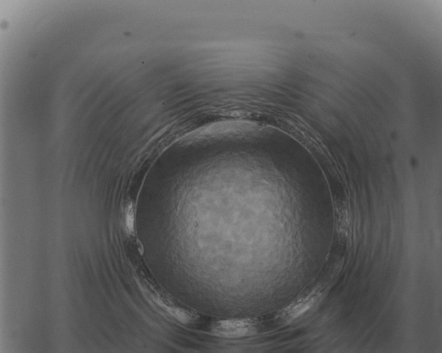 X0000066520095200603311805