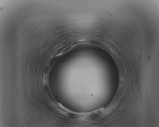 X0000066520096200603311805