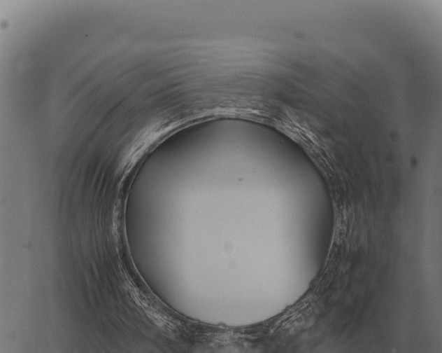 X0000066520098200603311804