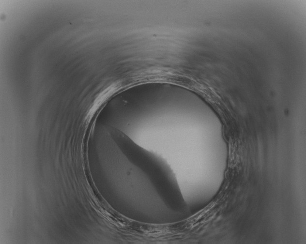 X0000066520099200603311804