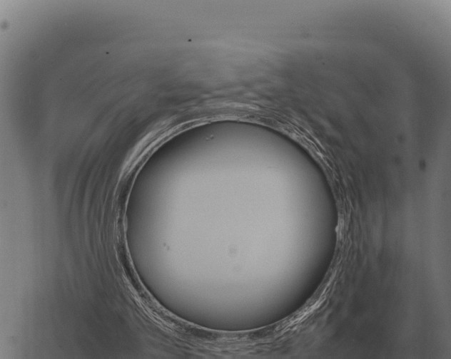 X0000066520101200603311804