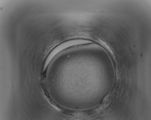 X0000066520105200603311804