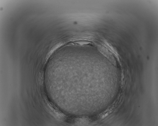 X0000066520107200603311804