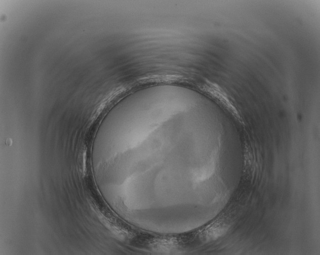 X0000066520110200603311804