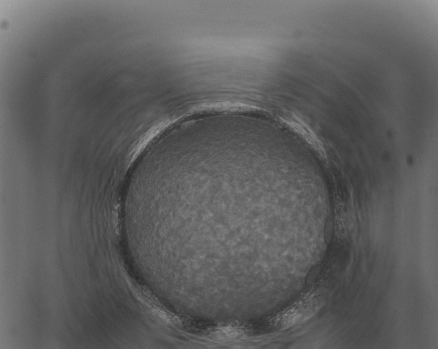 X0000066520111200603311804