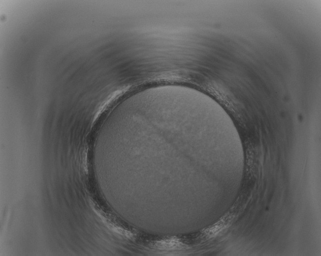 X0000066520112200603311804