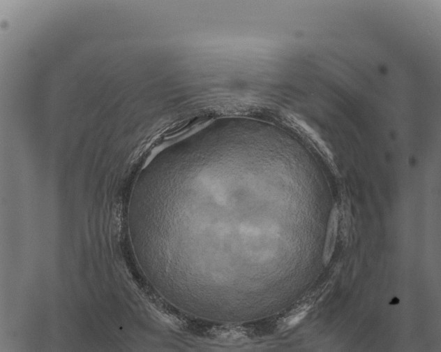 X0000066520113200603311804