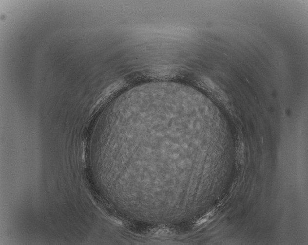 X0000066520115200603311804