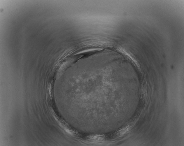 X0000066520117200603311804