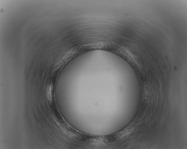 X0000066520118200603311804