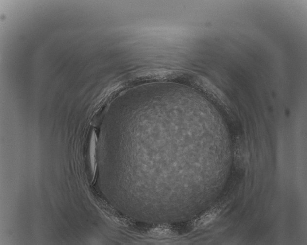 X0000066520119200603311804