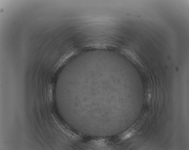 X0000066520120200603311804