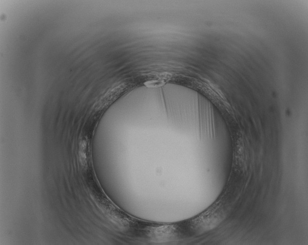 X0000066520122200603311804