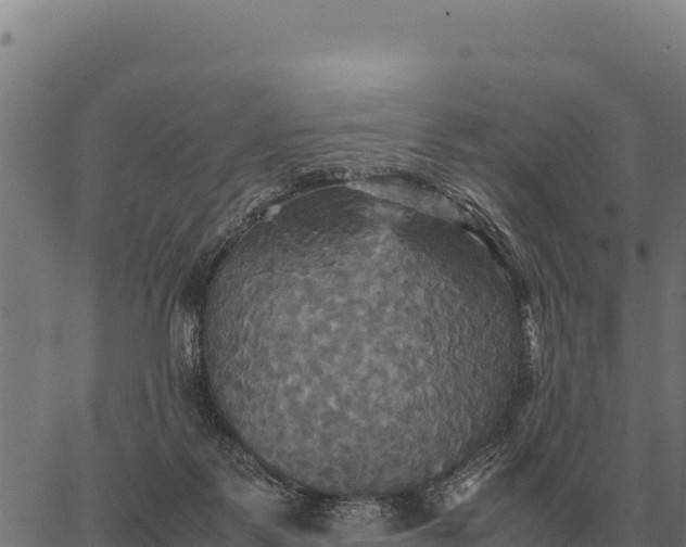 X0000066520123200603311804