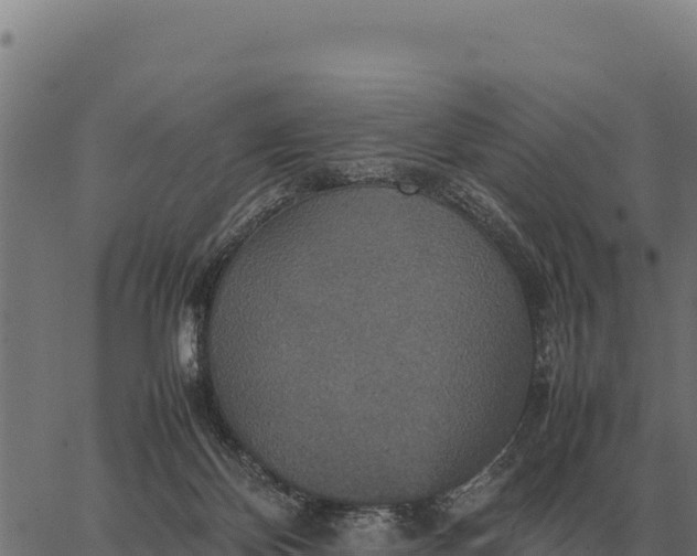 X0000066520124200603311804