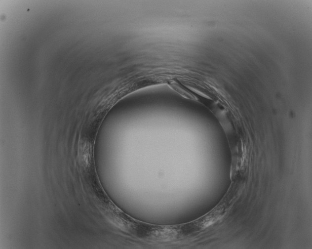 X0000066520125200603311804