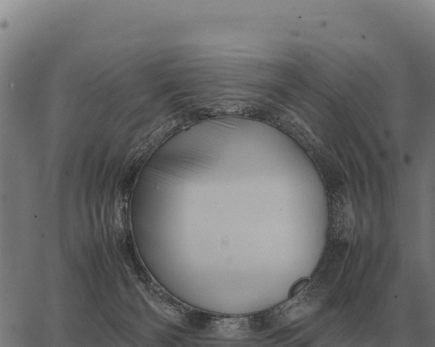 X0000066520126200603311804