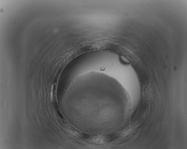 X0000066520127200603311804