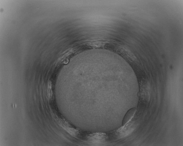 X0000066520128200603311804