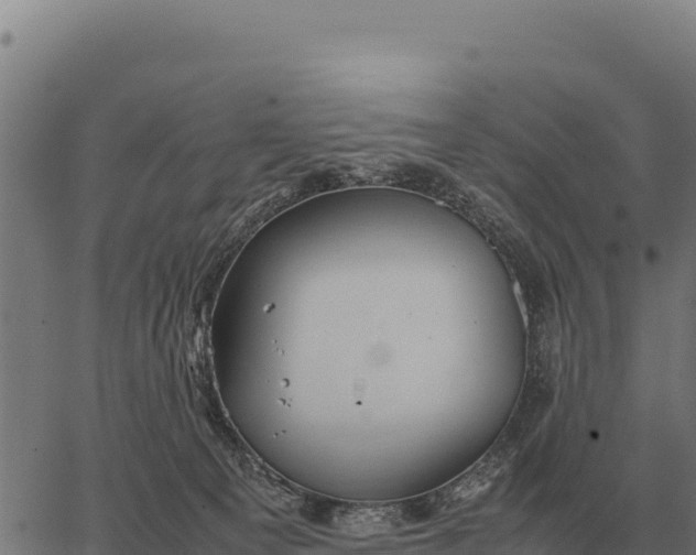 X0000066520129200603311804