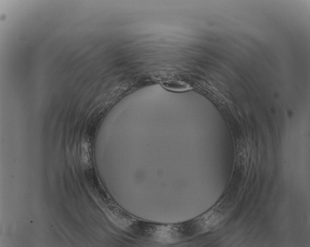 X0000066520130200603311804