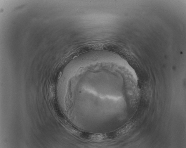 X0000066520131200603311804