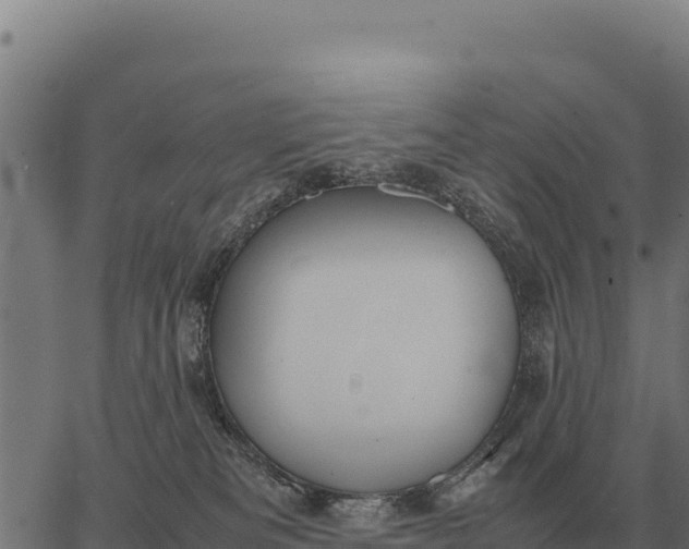 X0000066520133200603311804