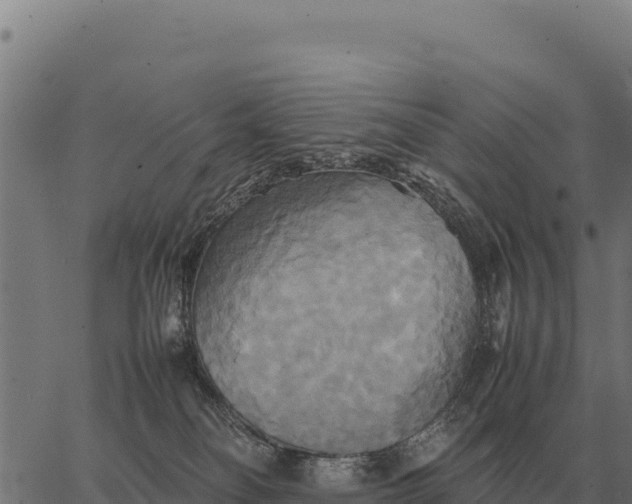 X0000066520134200603311804