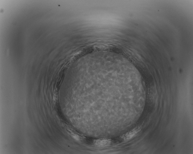 X0000066520135200603311804