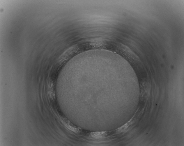 X0000066520136200603311804