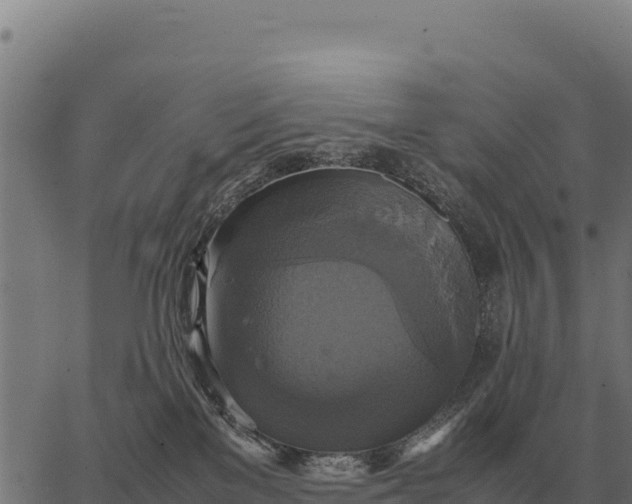 X0000066520137200603311804